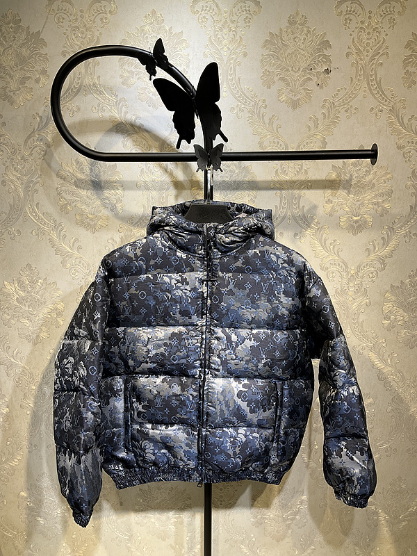 Louis Vuitton Down Jacket Unisex ID:20241022-234